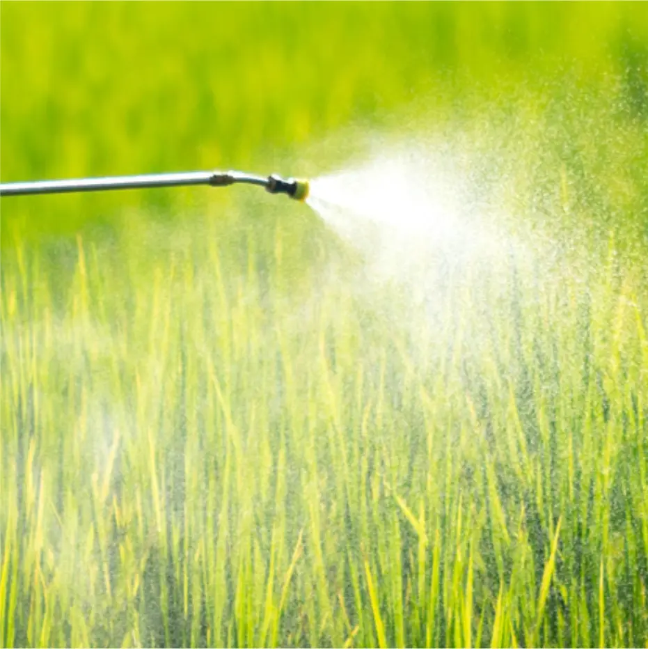 Adubos e fertilizantes